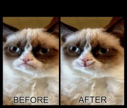 Grumpy Cat - before and after Meme Template