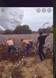 Dr. MLK would be....proud(???) Meme Template