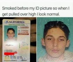Drivers license smoked Meme Template