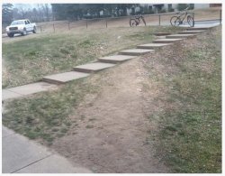 useless shortcut - useless desire path Meme Template