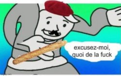 french wtf Meme Template