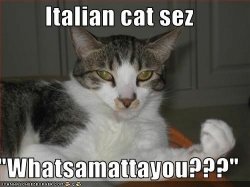 Kitty cat italian 4 Meme Template