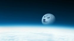 doge to the moon Meme Template