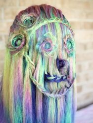 Weird rainbow hair face Meme Template