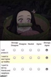 Nezuko protection squad Meme Template