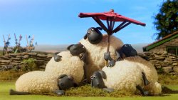 Australian imports Meme Template