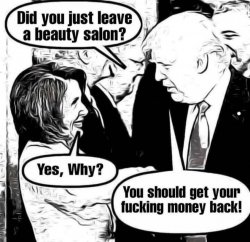 Nancy Pelosi just left beauty salon Meme Template