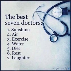 The 7 best doctors Meme Template
