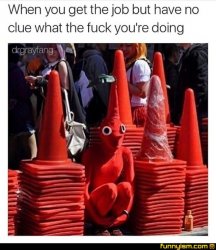 Traffic cones person disguised hiding Meme Template