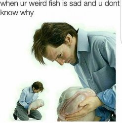 Blob fish man holding Meme Template