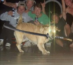 Dog with sword and glowing eyes Meme Template