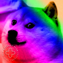 Rainbow doge Meme Template