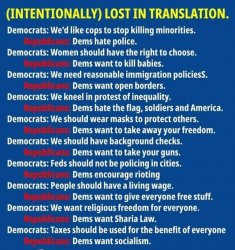Conservative logic intentionally lost in translation Meme Template