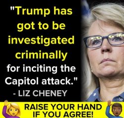 Liz Cheney Trump investigated Meme Template