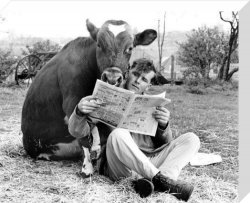 Man and cow reading newspaper b/w Meme Template