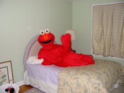 Elmo laying on bed Meme Template