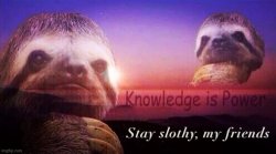Sloth knowledge is power stay slothy my friends Meme Template