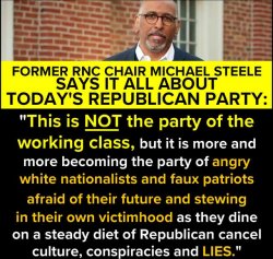 Michael Steele on the Republican Party Meme Template