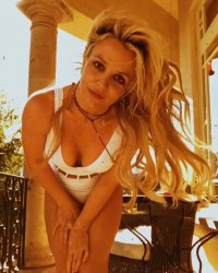 Britney Spears swimsuit Meme Template