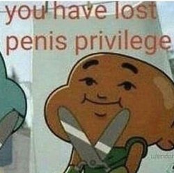 You have lost penis privilege Meme Template