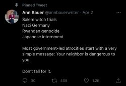 Ann Bauer pinned tweet Meme Template
