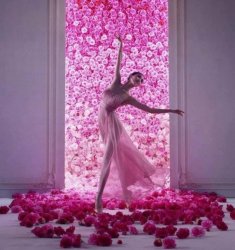 Ballerina pink flowers Meme Template