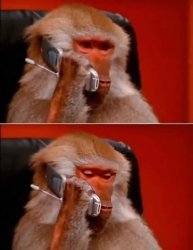 Monkey with phone Meme Template