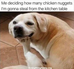 Dog deciding on eating with copy Meme Template