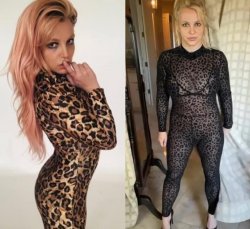 Britney Spears leopard print Meme Template