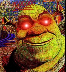 Deep Fried Shrek Meme Template