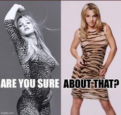 Britney Spears are you sure about that Meme Template