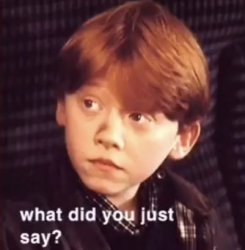 what did you just say? Meme Template