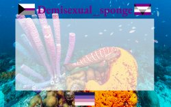 Demisexual_sponge's template (3) Meme Template
