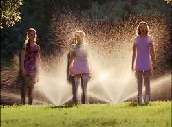 Cokie and Friends Soaked by Sprinklers Meme Template