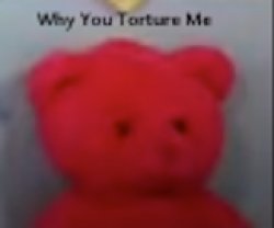 Tortured bear Meme Template