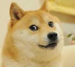 doge Meme Template