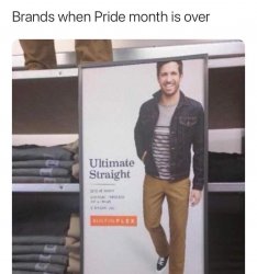 Brands when pride month is over Meme Template