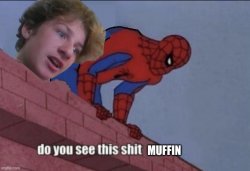 Do you see this shit muffin? Meme Template