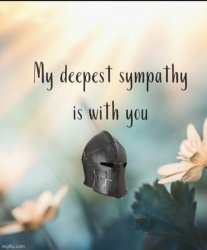 Crusader Knight my deepest sympathy is with you Meme Template