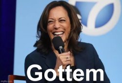 Kamala Harris gottem Meme Template