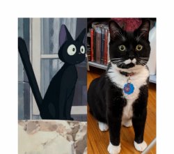 Jiji/blueberry Meme Template