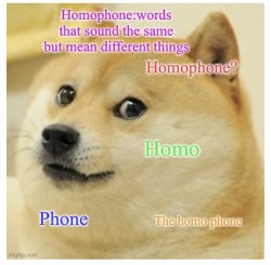 The homophone Meme Template