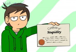 Certificate of Stupidity by Edd Meme Template