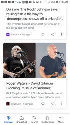 The Rock Animals News Duo Meme Template