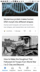 DNA Donut News Duo Meme Template