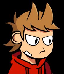 Disappointed Tord Meme Template