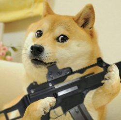 doge gun Meme Template