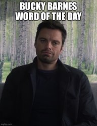 bucky WOTD Meme Template