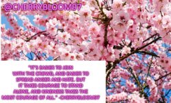 CherryBloom97's announcement template Meme Template