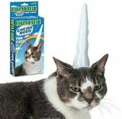 Cat with unicorn horn Meme Template